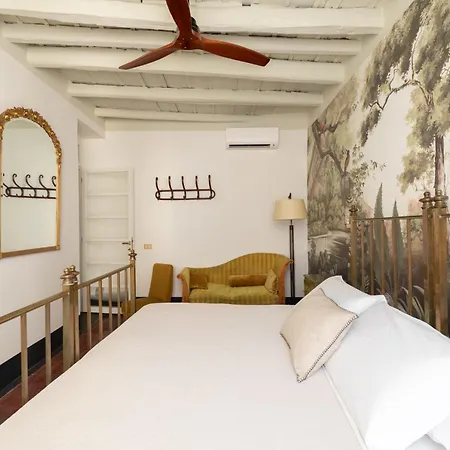 Charming Design In Monti